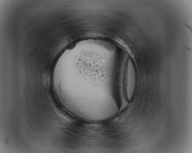X0000091240063200709061549
