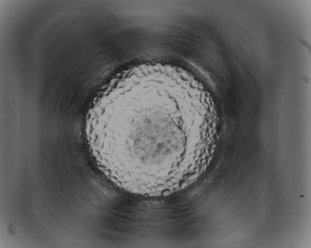X0000091240065200709061549