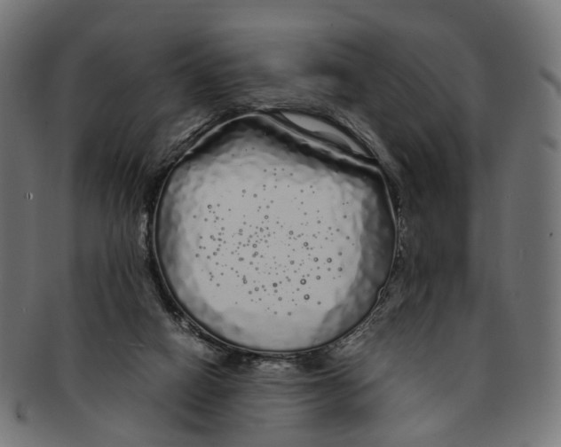 X0000091240066200709061549