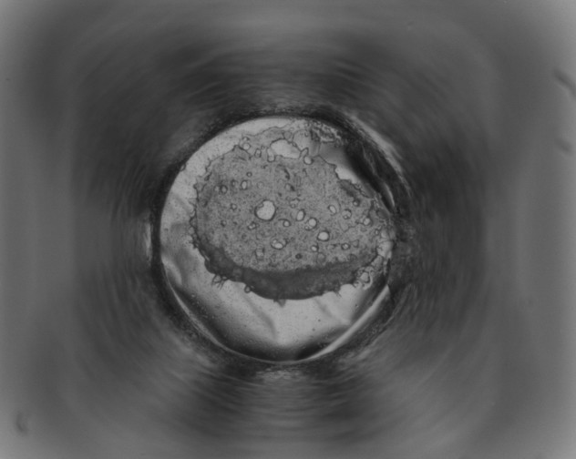 X0000091240067200709061549