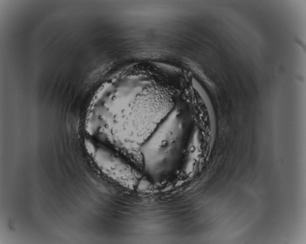X0000091240068200709061549