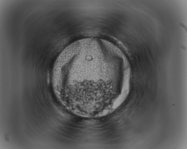 X0000091240069200709061549