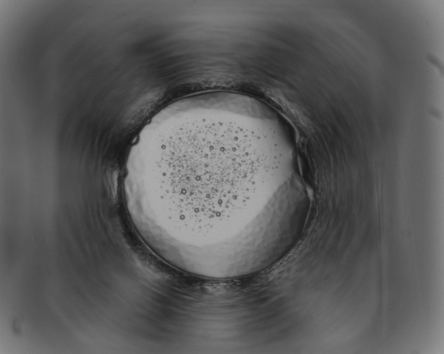 X0000091240070200709061549