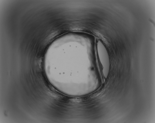 X0000091240071200709061549