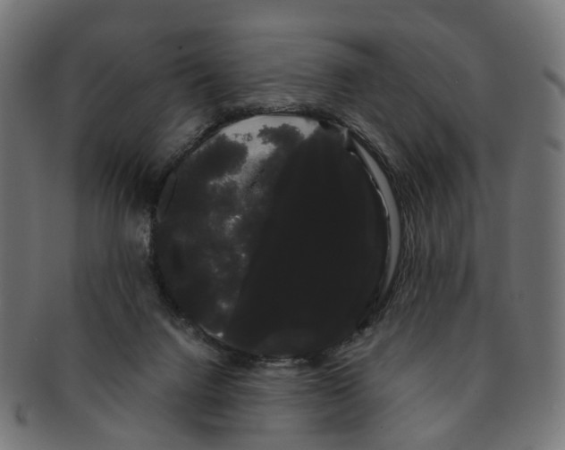 X0000091240072200709061549