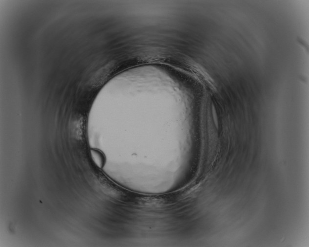 X0000091240073200709061549