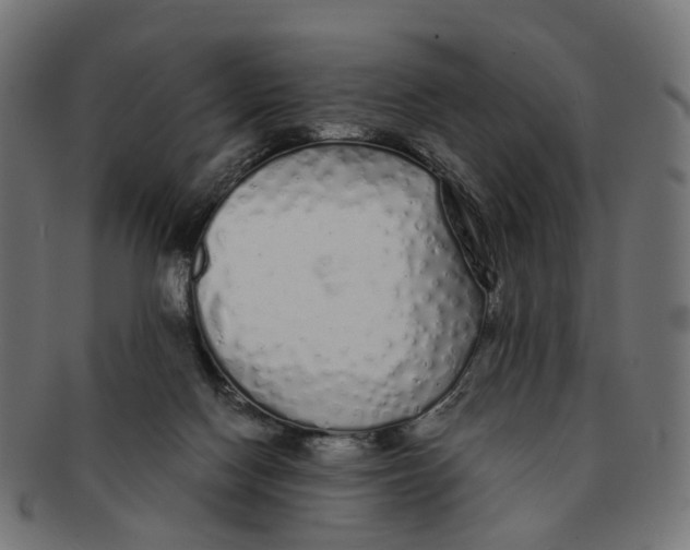 X0000091240074200709061549