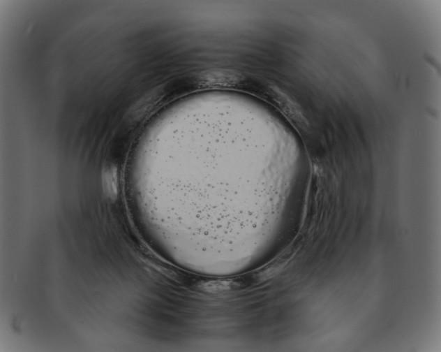 X0000091240075200709061549