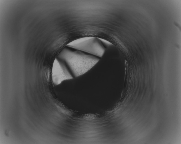X0000091240076200709061549