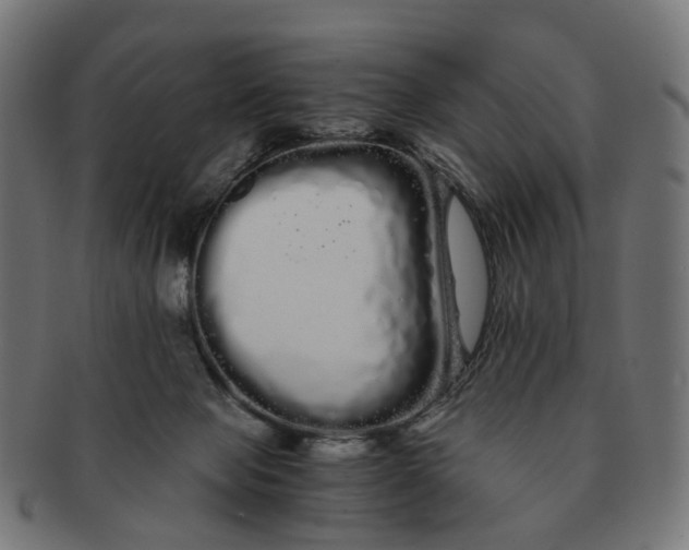 X0000091240077200709061549