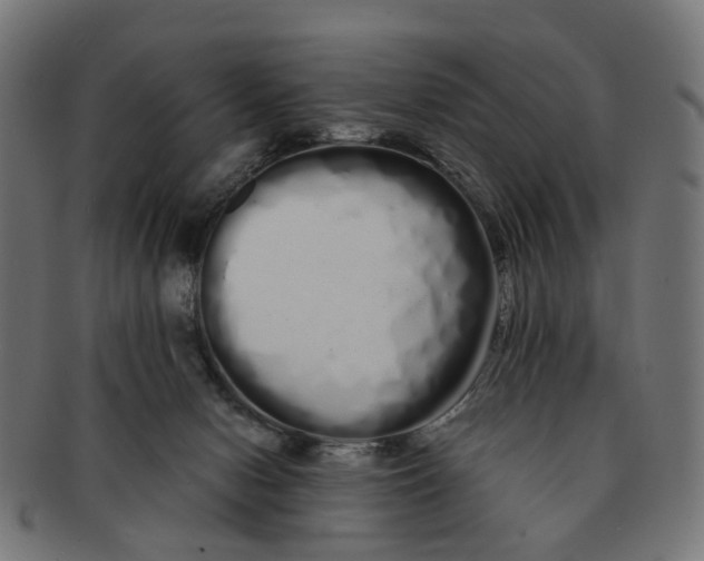 X0000091240078200709061549