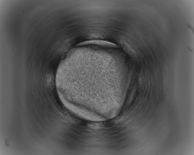 X0000091240079200709061549