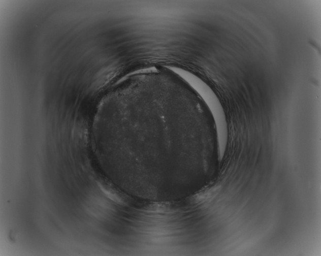 X0000091240080200709061549