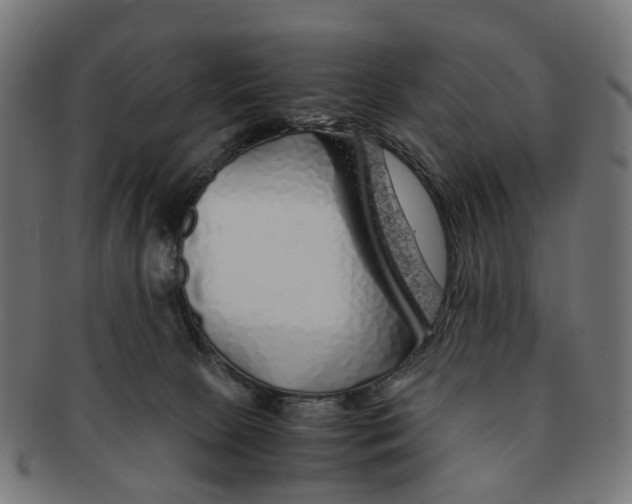 X0000091240081200709061549