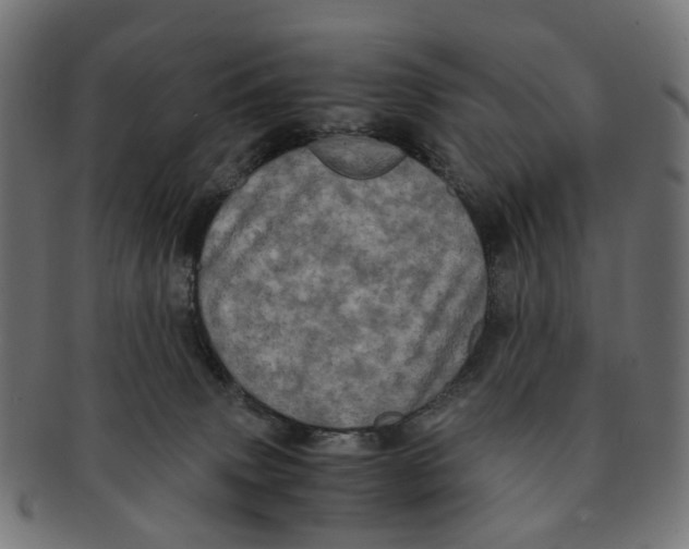 X0000091240083200709061549