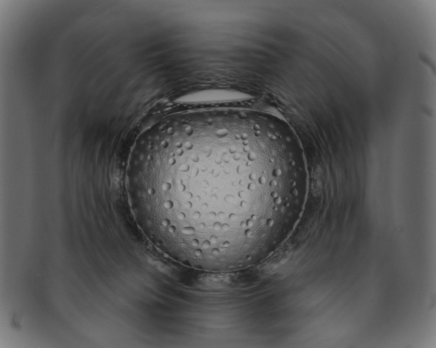 X0000091240084200709061549