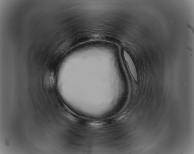X0000091240085200709061549