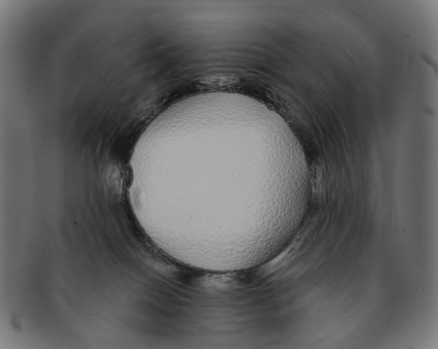 X0000091240086200709061549