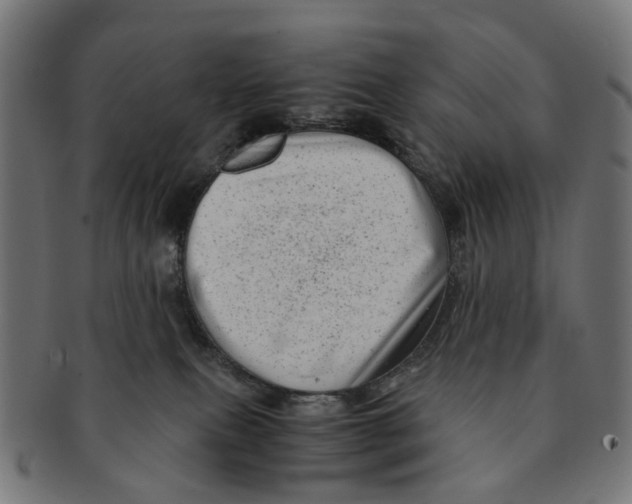 X0000091240087200709061549