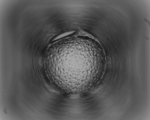 X0000091240088200709061549