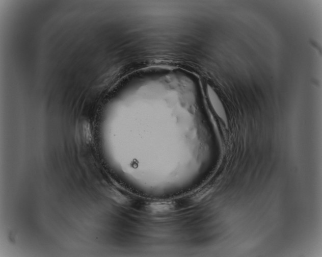 X0000091240089200709061549
