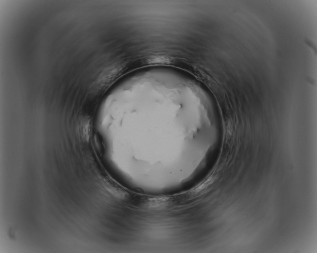 X0000091240090200709061549