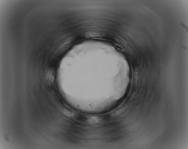 X0000091240091200709061549