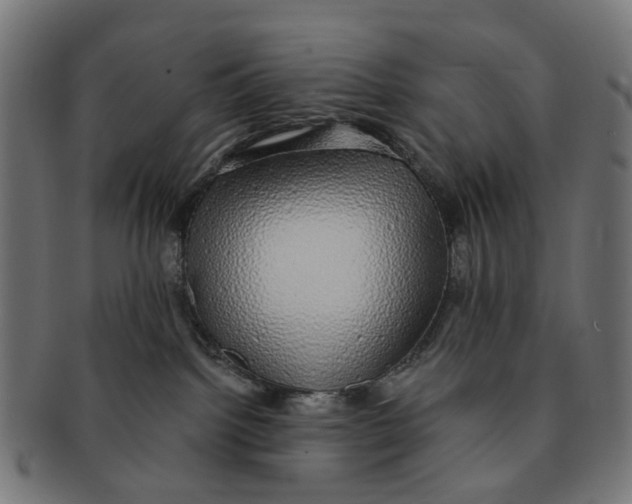 X0000091240092200709061549
