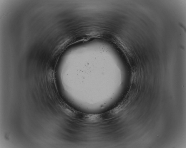 X0000091240093200709061549