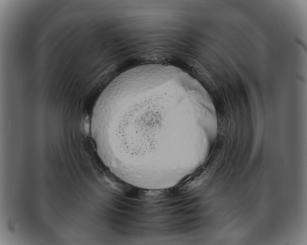 X0000091240095200709061549