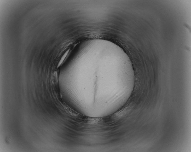 X0000091240096200709061549