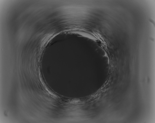 X0000091240097200709061548
