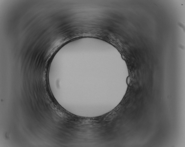 X0000091240098200709061548