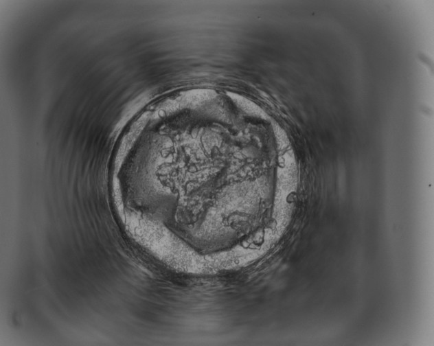 X0000091240099200709061548