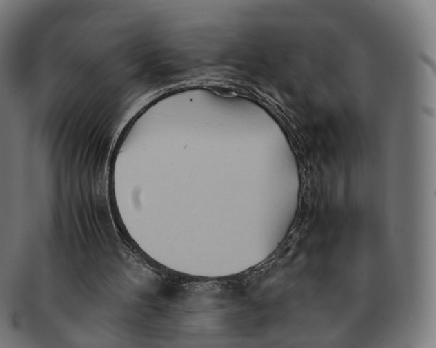 X0000091240100200709061548