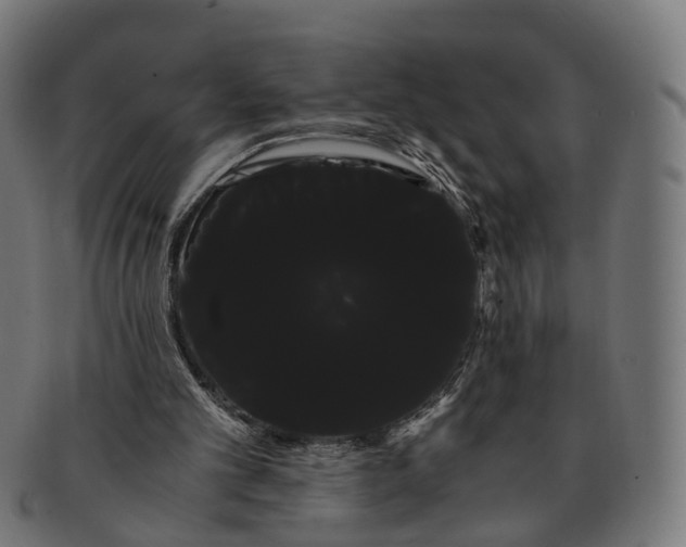 X0000091240101200709061548