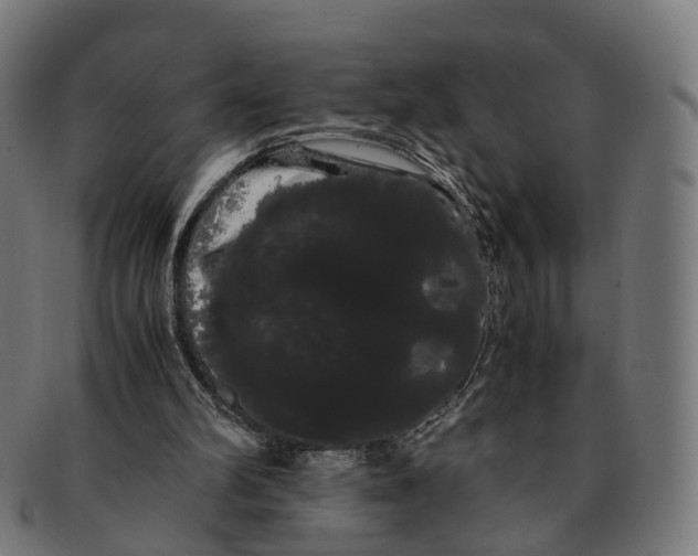 X0000091240102200709061548