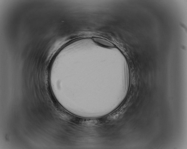 X0000091240103200709061548