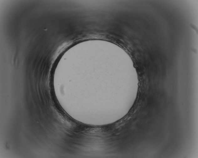 X0000091240104200709061548