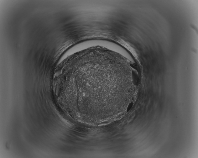 X0000091240105200709061548