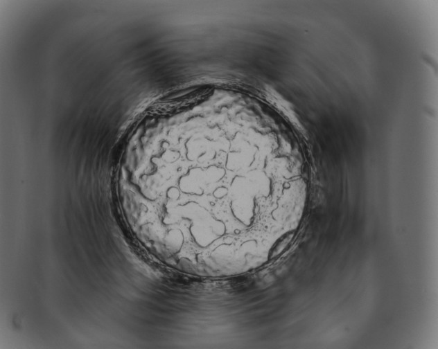 X0000091240106200709061548