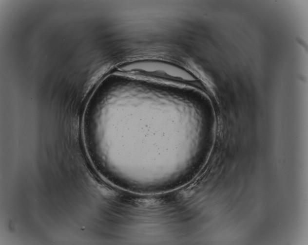 X0000091240107200709061548