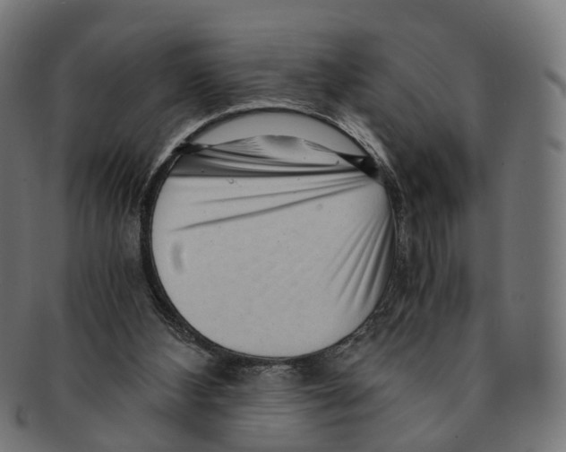 X0000091240108200709061548