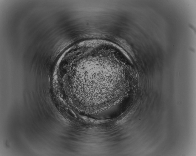 X0000091240109200709061548