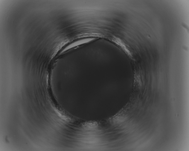 X0000091240110200709061548