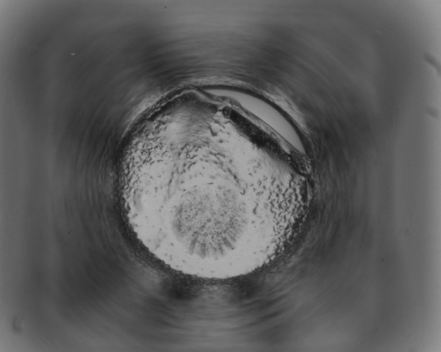 X0000091240111200709061548