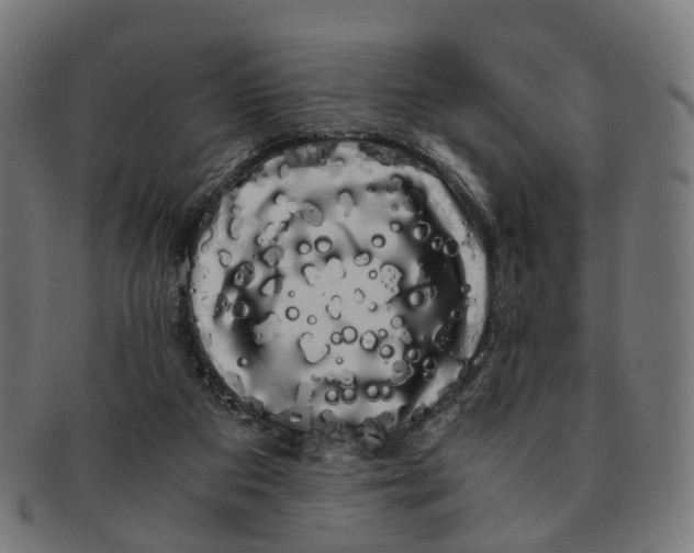 X0000091240113200709061548