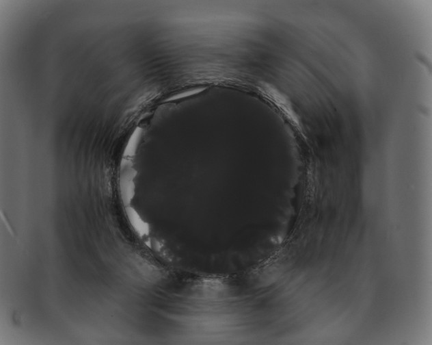 X0000091240114200709061548