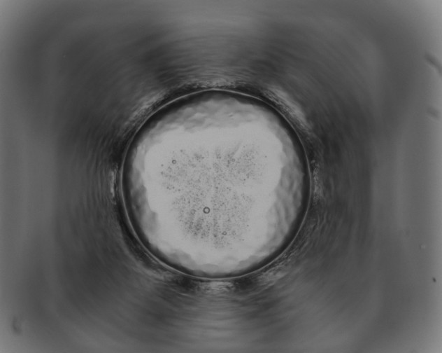 X0000091240115200709061548