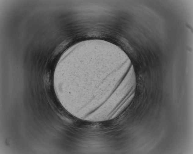 X0000091240116200709061548